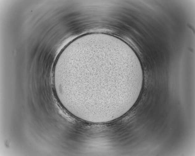 X0000102481044200808291623