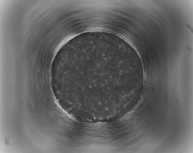 X0000102481045200808291623