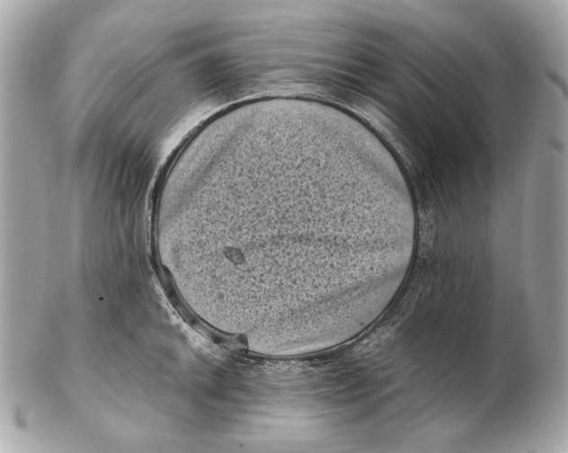 X0000102481046200808291623