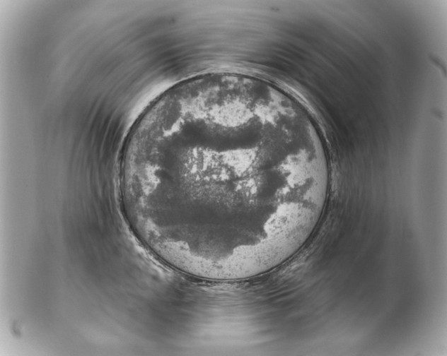 X0000102481048200808291623