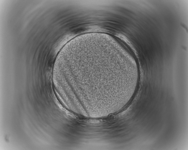 X0000102481049200808291623