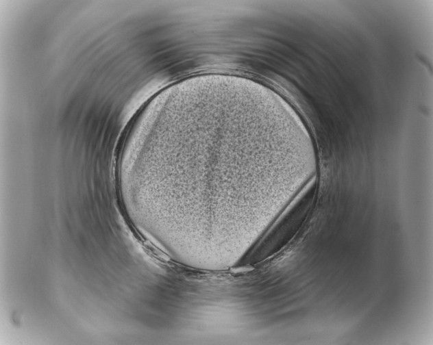 X0000102481050200808291623