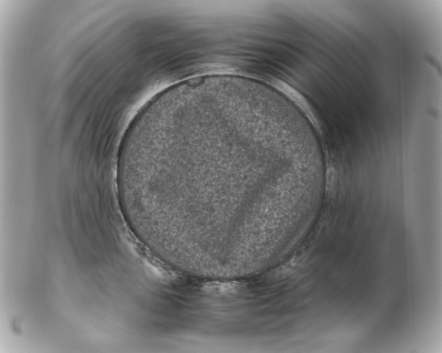 X0000102481051200808291623