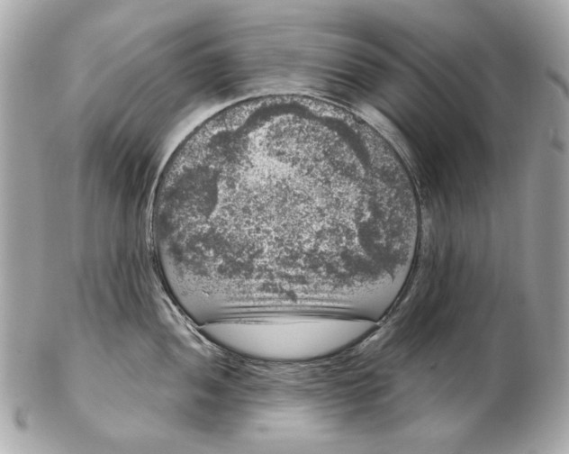 X0000102481052200808291623