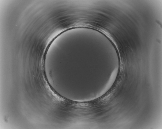 X0000102481053200808291623