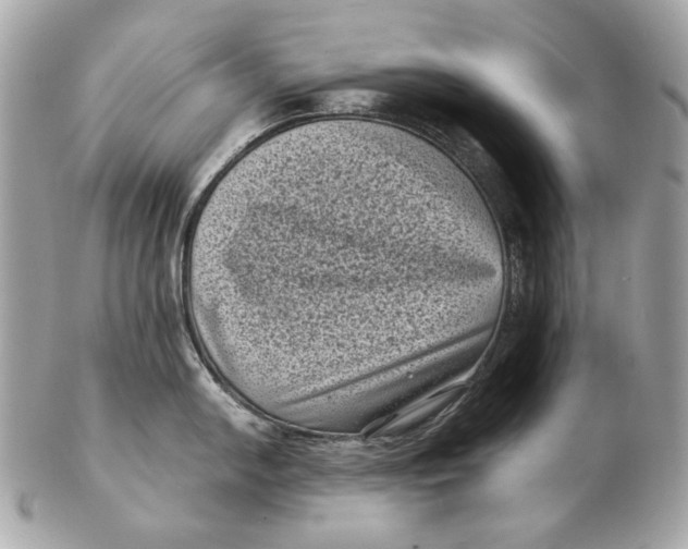 X0000102481054200808291623