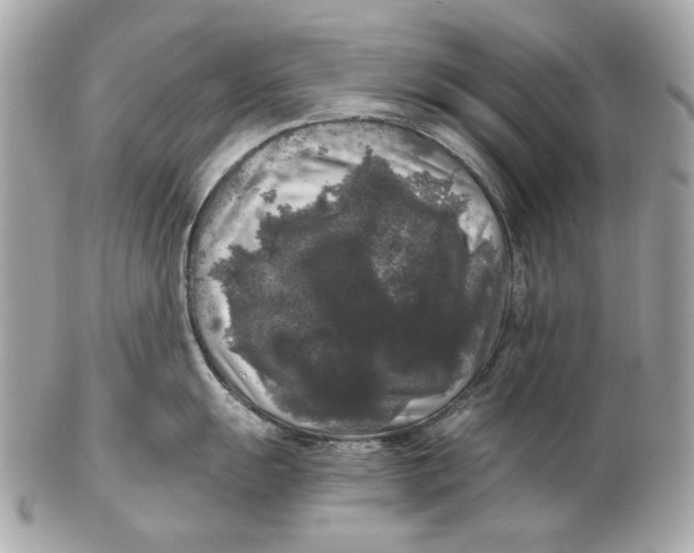 X0000102481055200808291623