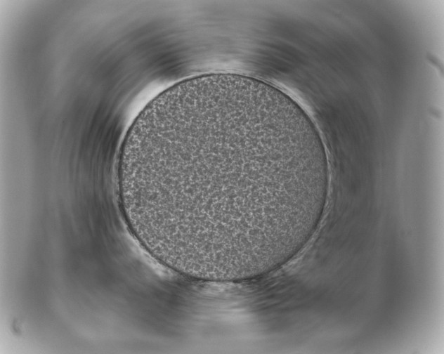 X0000102481056200808291623