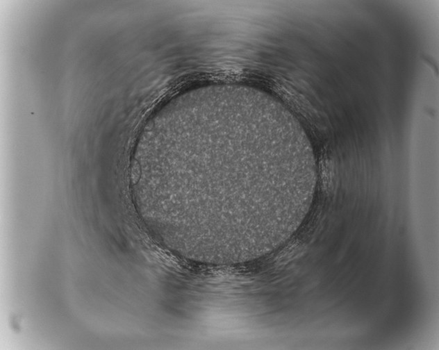 X0000102481057200808291622