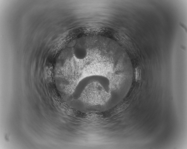 X0000102481059200808291622