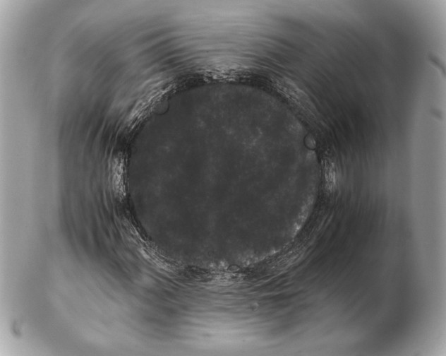 X0000102481060200808291622