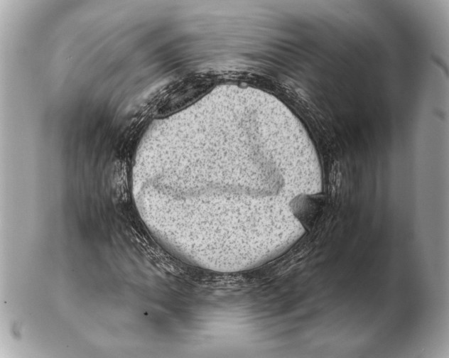 X0000102481062200808291622