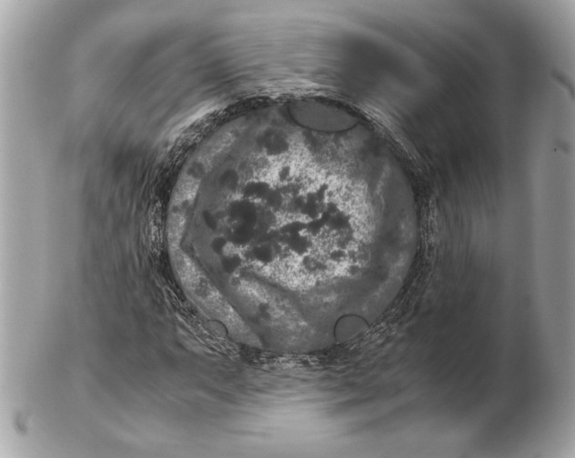 X0000102481063200808291622