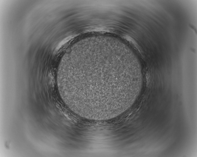 X0000102481064200808291622