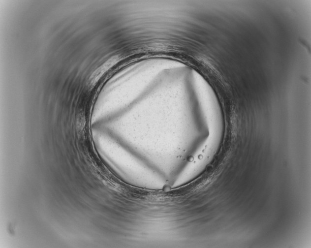 X0000102481065200808291622