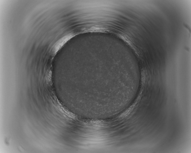 X0000102481066200808291622