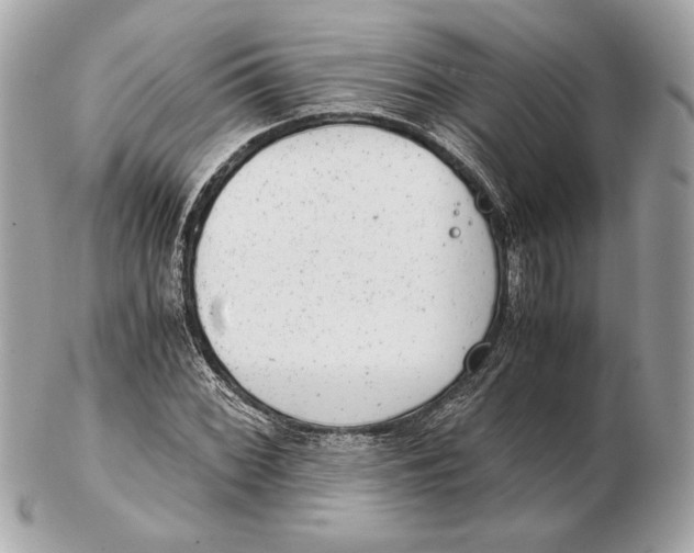 X0000102481068200808291622