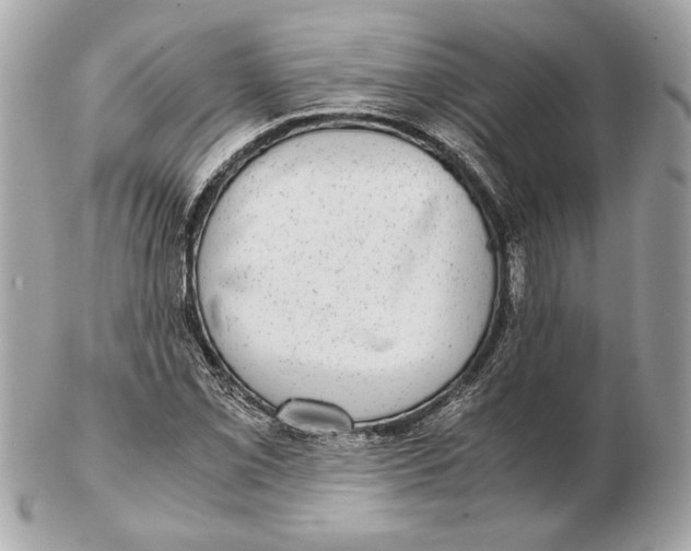 X0000102481069200808291622