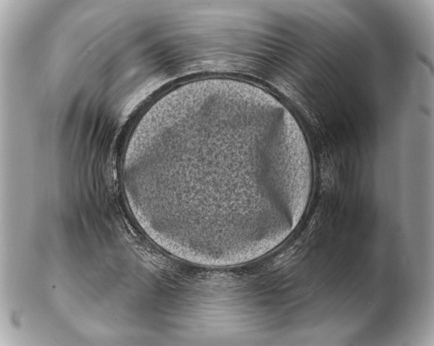 X0000102481070200808291622