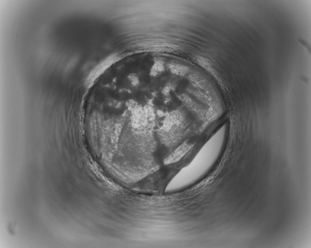 X0000102481071200808291622