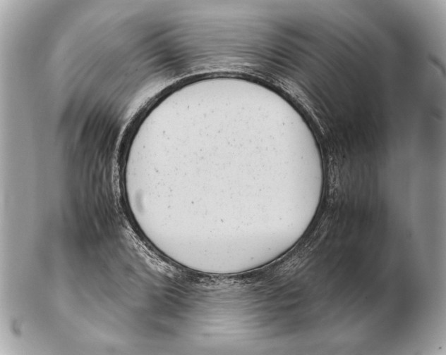 X0000102481072200808291622