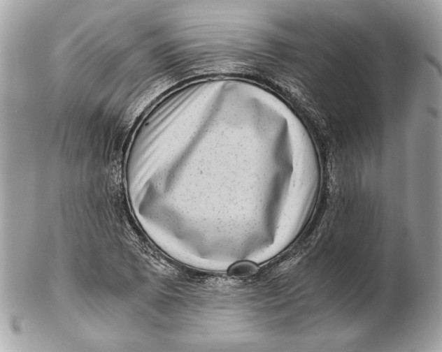 X0000102481073200808291622