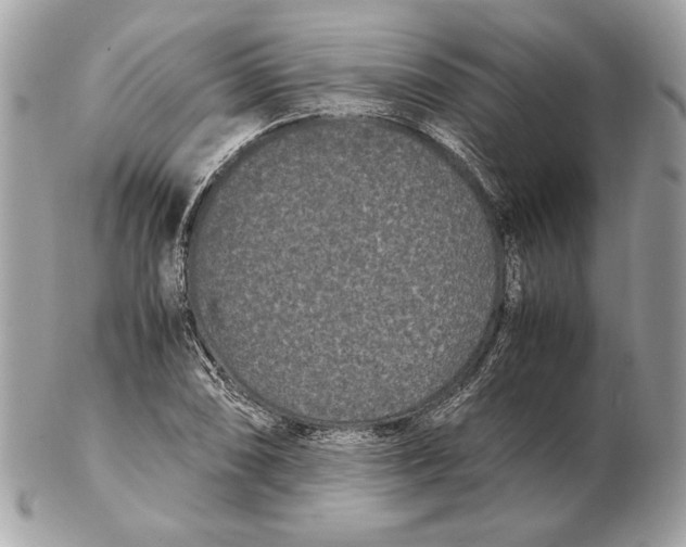 X0000102481074200808291622