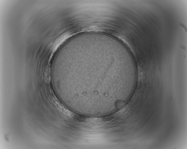 X0000102481075200808291622