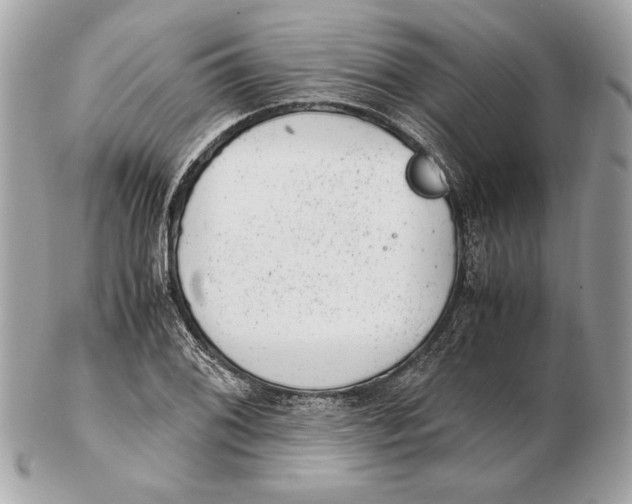 X0000102481076200808291622