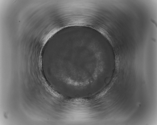 X0000102481077200808291622