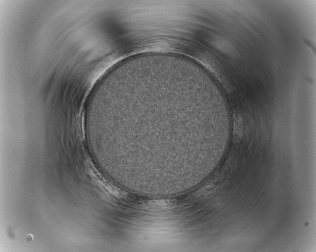 X0000102481078200808291622