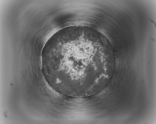 X0000102481079200808291622