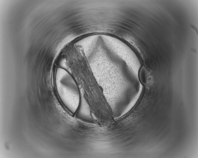 X0000102481080200808291622