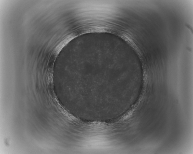 X0000102481081200808291622