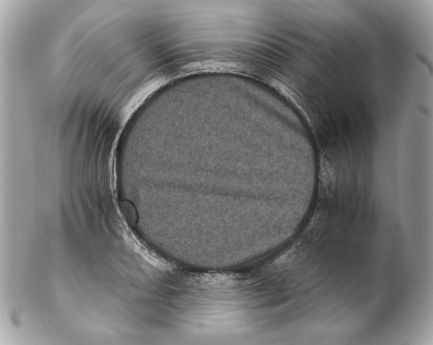 X0000102481082200808291622