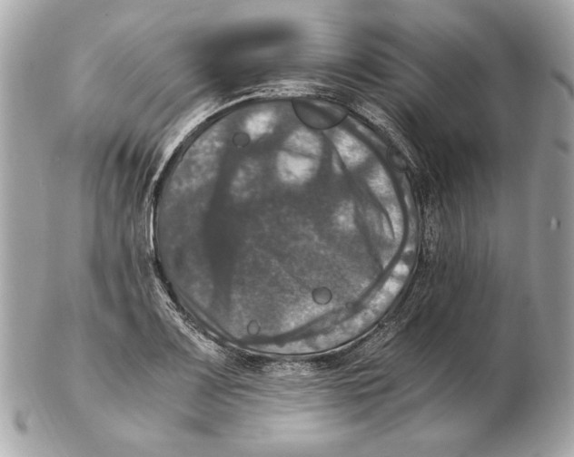 X0000102481083200808291622