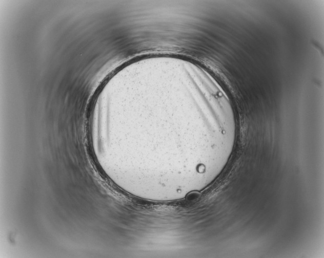 X0000102481085200808291622