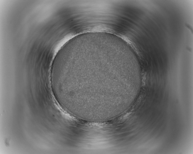 X0000102481086200808291622