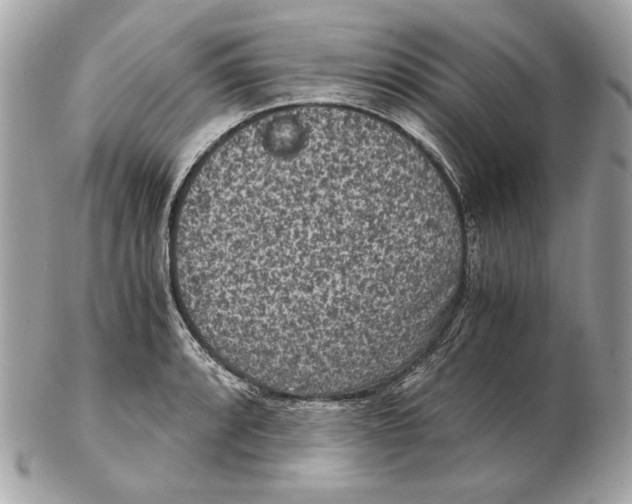 X0000102481088200808291622