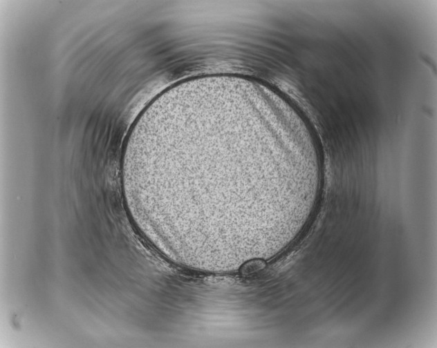 X0000102481089200808291622