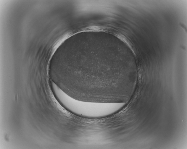 X0000102481091200808291622