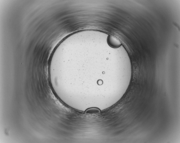 X0000102481092200808291621