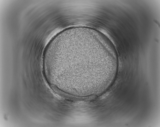 X0000102481093200808291621