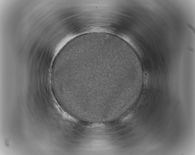 X0000102481094200808291621