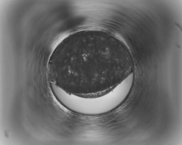 X0000102481095200808291621