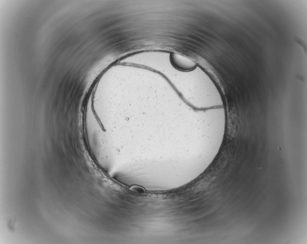 X0000102481096200808291621