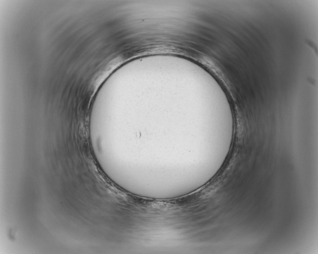 X0000102481097200808291621