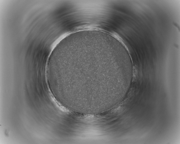 X0000102481098200808291621