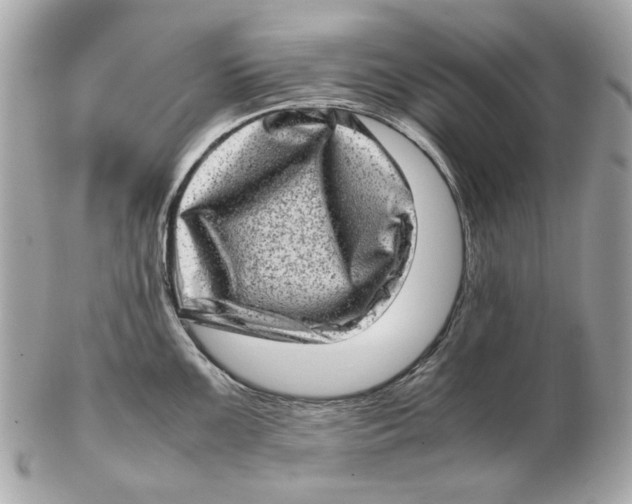 X0000102481099200808291621