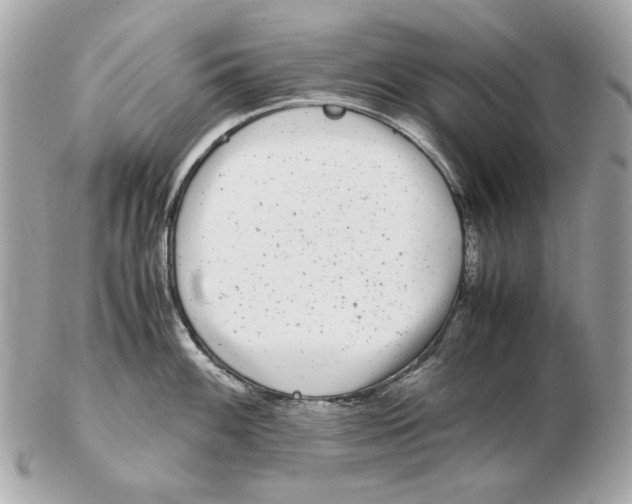 X0000102481100200808291621